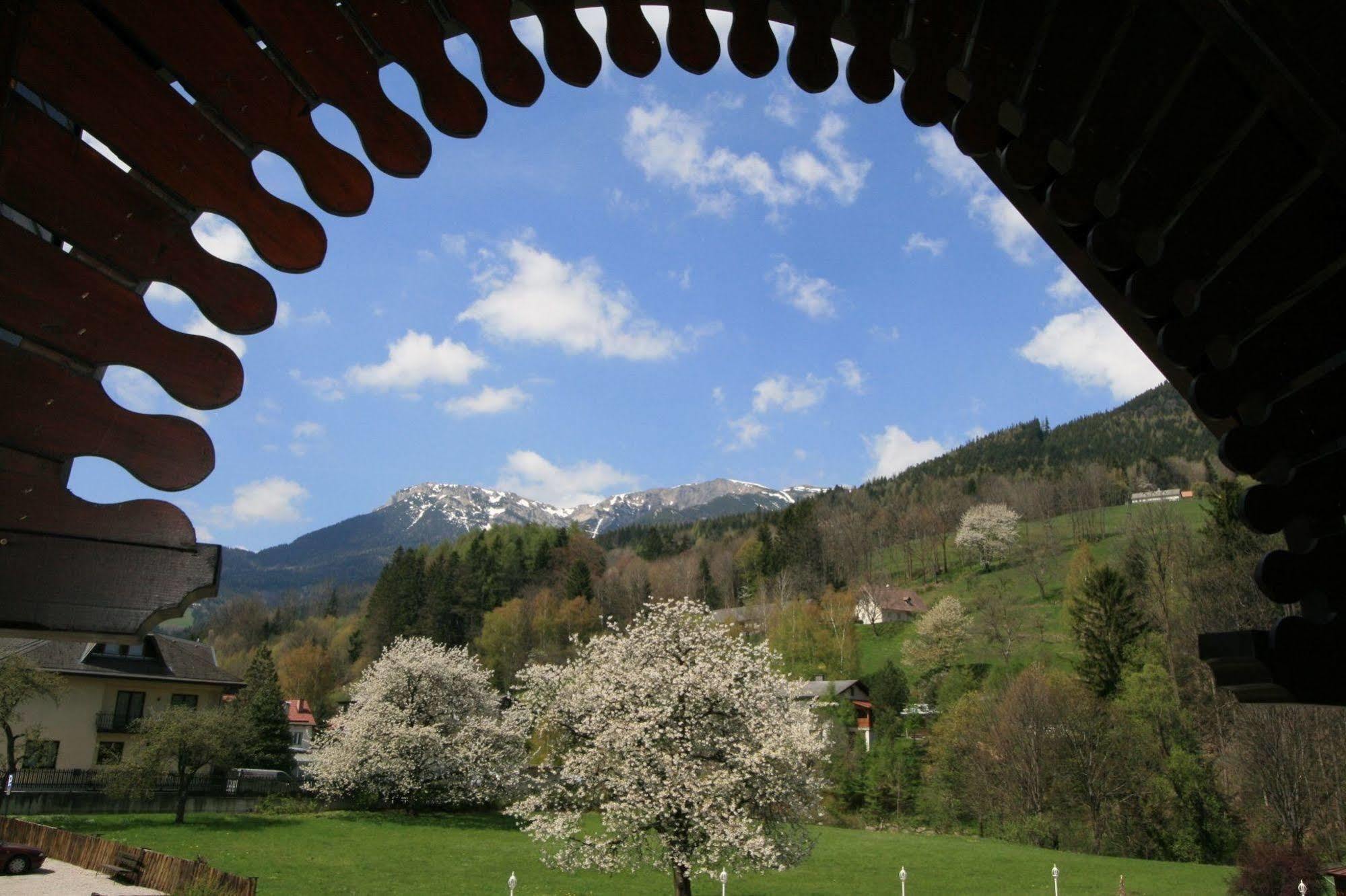 赖歇瑙 Scharfegger'S Raxalpenhof - Zuhause Am Land酒店 外观 照片