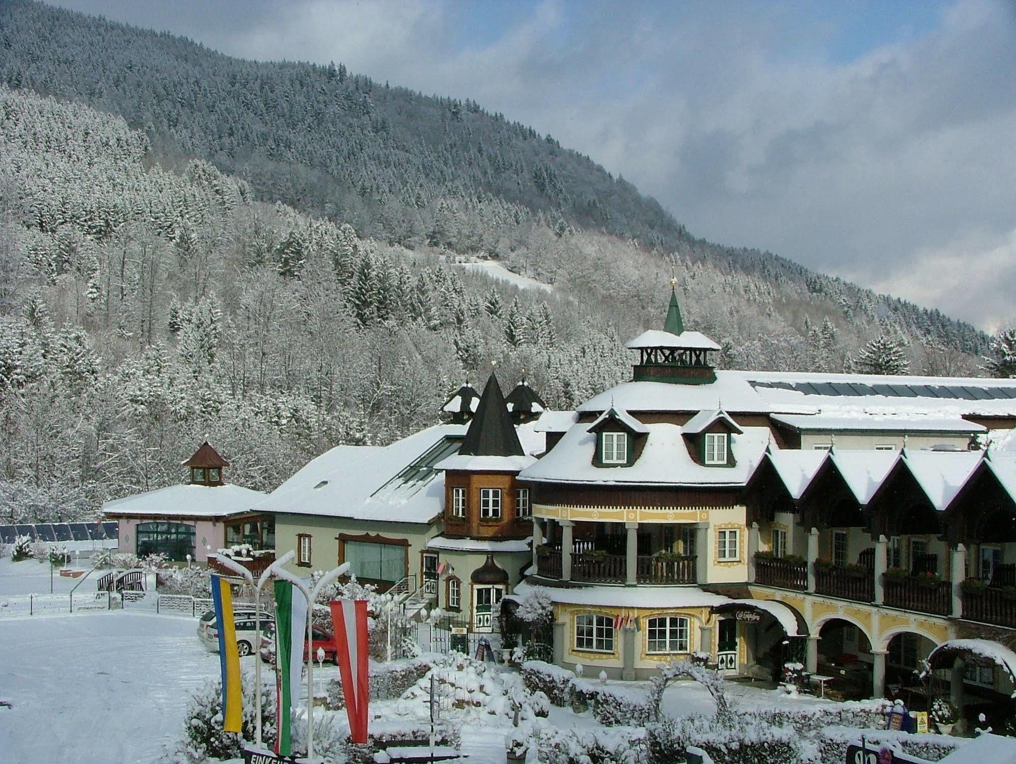 赖歇瑙 Scharfegger'S Raxalpenhof - Zuhause Am Land酒店 外观 照片